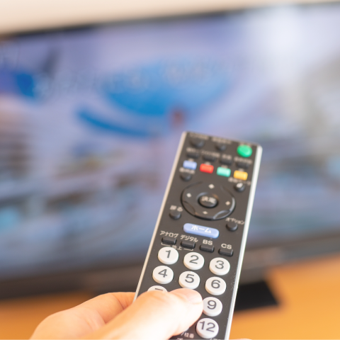 衛星放送が視聴できるテレビ